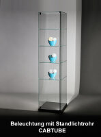 Ganzglasvitrine 60 cm breit staubdichte Design-Glasvitrine Schmale Staubdichte Ganzglas Vitrine 60 x 60 cm im puren transparenten Glas-Design UV-verklebt Glas-auf-Glas