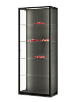Standvitrine 80 cm breit aus Glas und Alu Schwarz mit 2 LED-Strips Vitrine schwarz freistehende Glasvitrine beleuchtet mit Rückwand und Profilen schwarz Präsentationsvitrine abschließbar