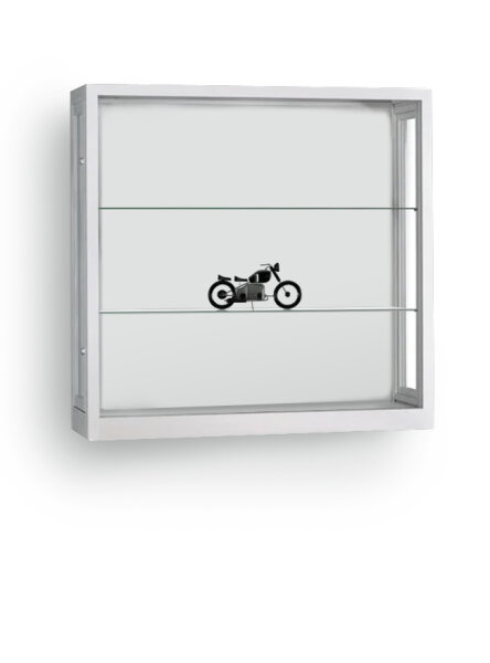 Staubdichte Wandvitrine 100 cm breit aus Glas und Alu Silber