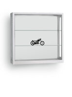Staubdichte Wandvitrine 100 cm breit aus Glas und Alu Silber Hängevitrine staubdicht Vitrine zum Aufhängen an die Wand abschließbar