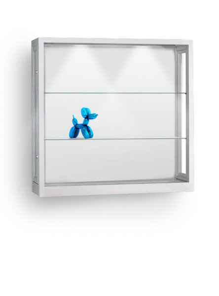 Staubdichte Wandvitrine 100 cm breit mit Beleuchtung aus Glas und Alu Silber