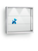 Staubdichte Wandvitrine 100 cm breit mit Beleuchtung aus Glas und Alu Silber Hängevitrine staubdicht beleuchtet Vitrine zum Aufhängen an die Wand abschließbar