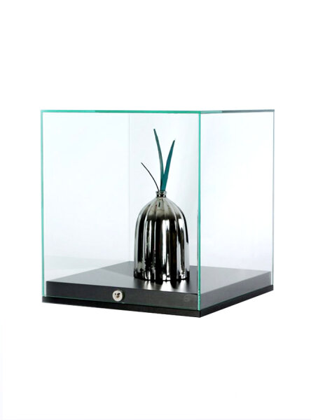 Glaswürfel 50 x 50 cm kleine Ganzglas Haubenvitrine