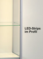 Vitrine 120 cm breit aus Glas und Alu Schwarz mit 2 LED-Strips Glasvitrine mit Rückwand schwarz beleuchtet mit LED-Streifen im Profil Ausstellungsvitrine mit Beleuchtung abschließbar